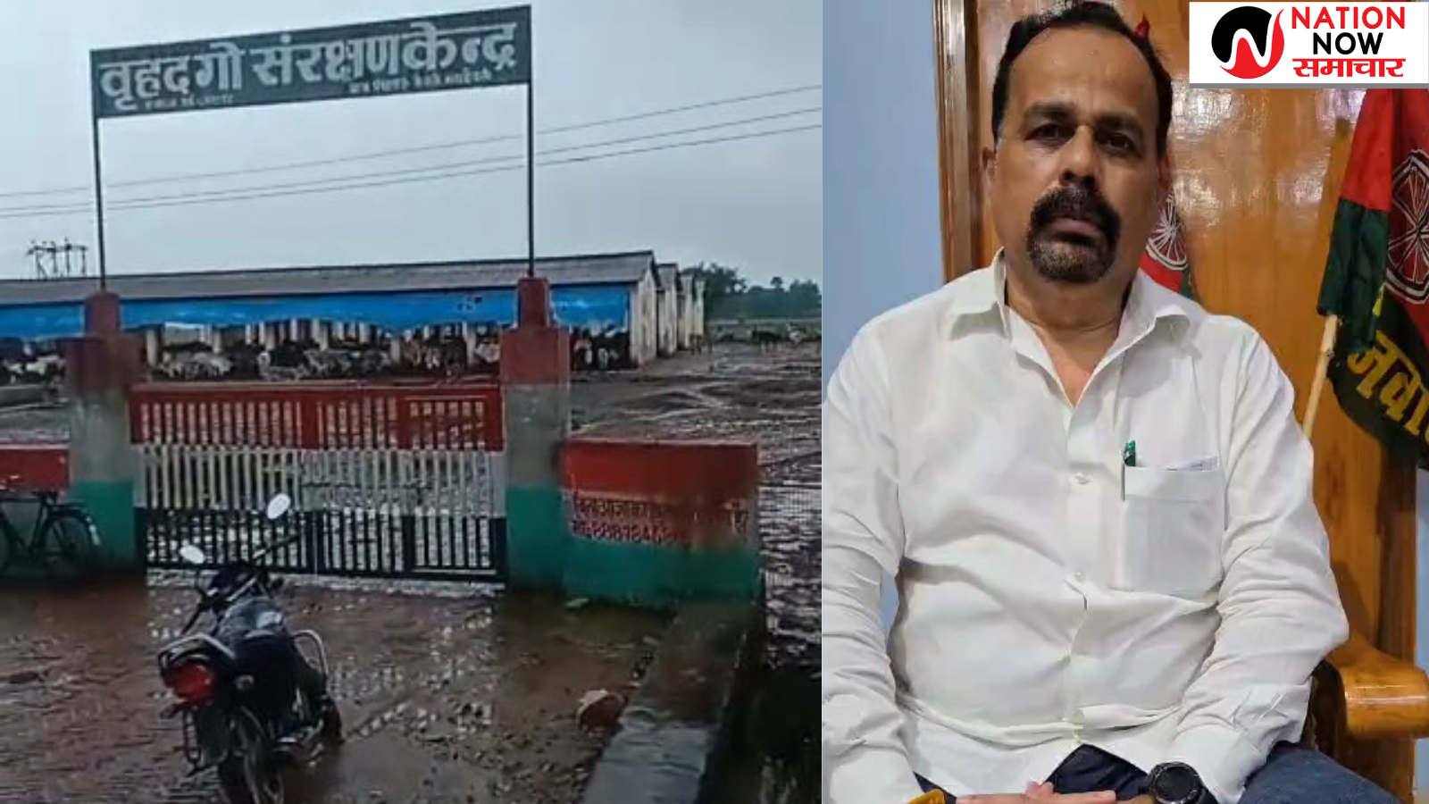 Sonbhadra cow shelter crisis