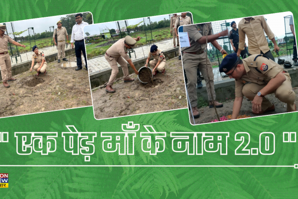 Tree Plantation Pilibhit