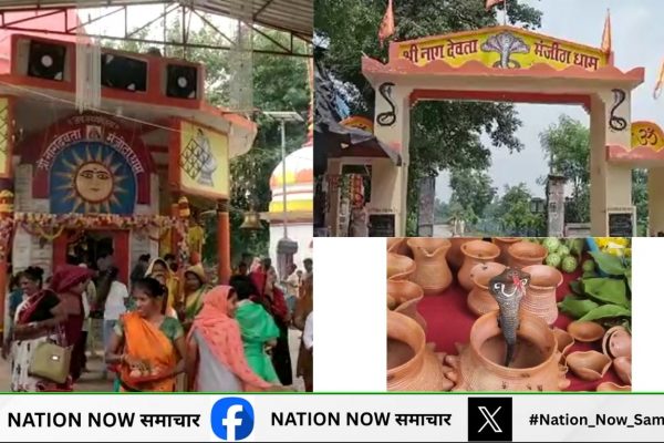 एक ऐसा अनोखा मंदिर, जहां लगती है सांपों की अदालत, नाग देवता देते हैं आदेश मंजीठा गांव के नाग देवता मंदिर
