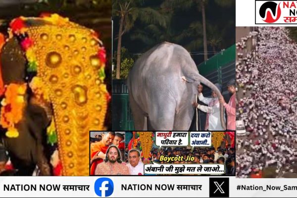 मठ से 'माधुरी' हथिनी को वनतारा भेजने का भारी विरोध, लोगों का मौन जुलूस, Jio पर भी गुस्सा