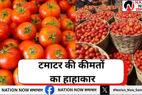 टमाटर की कीमतों का हाहाकार