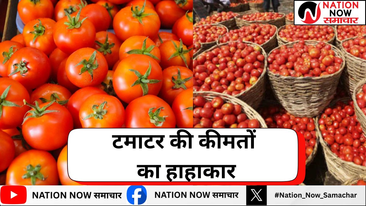 टमाटर की कीमतों का हाहाकार