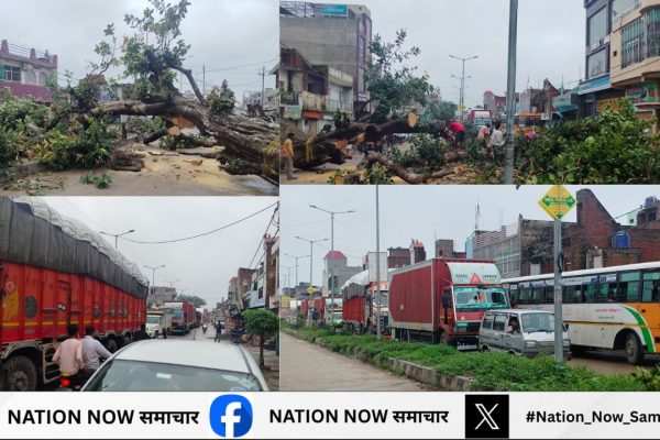 बिधूना: दिबियापुर मार्ग पर विशाल पेड़ गिरने से रक्षाबंधन पर आवाजाही बाधित, विभाग ने हटाने का आश्वासन दिया बिधूना: दिबियापुर मार्ग पर विशाल पेड़ गिरने से रक्षाबंधन पर आवाजाही बाधित