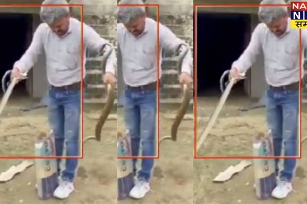 हमीरपुर: सांपों से खेलते युवक का वीडियो वायरल, देखकर रह गए लोग हैरान