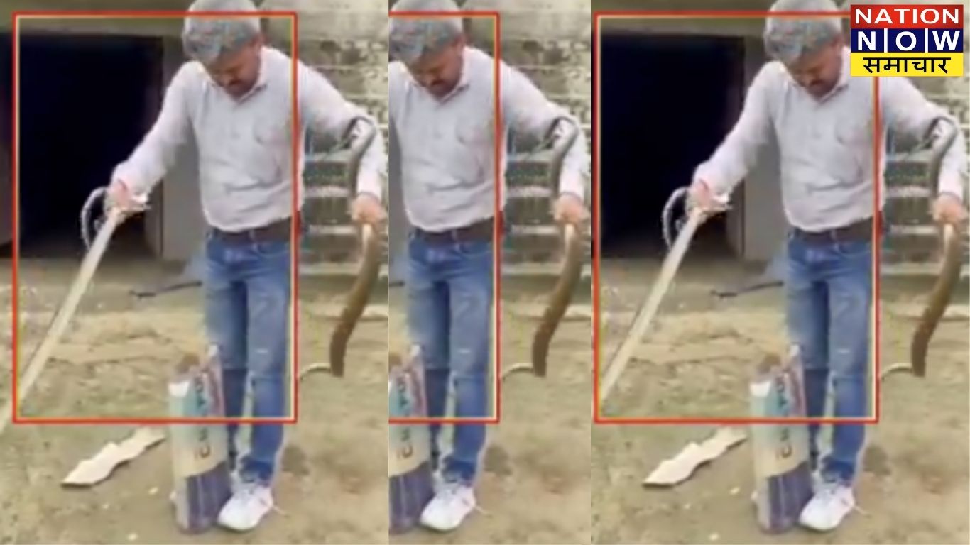 हमीरपुर: सांपों से खेलते युवक का वीडियो वायरल, देखकर रह गए लोग हैरान