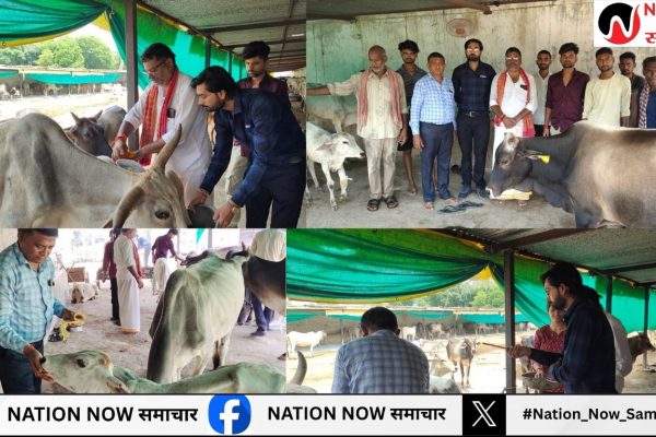 बाँदा: गौ रक्षा समिति ने गौ पूजन कर मनाया कृष्ण जन्मोत्सव