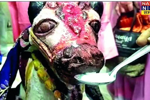 बाराबंकी: नंदी की मूर्ति ने भक्तों के हाथों से पिया दूध, शिवलिंग पर विराजमान नंदी बाबा बाराबंकी: नंदी की मूर्ति ने भक्तों के हाथों से पिया दूध, शिवलिंग पर विराजमान नंदी बाबा