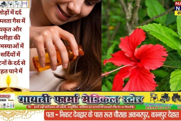 Hair Fall Treatment in Hindi: मेथी और गुड़हल से बाल झड़ने की समस्या का आयुर्वेदिक समाधान Hair Fall Treatment in Hindi: मेथी और गुड़हल से बाल झड़ने की समस्या का आयुर्वेदिक समाधान