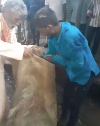 औरैया सोशल मीडिया पर जंगली जानवर दिखा तो मचा हड़कंप, वन विभाग ने कवर बिज्जू को सुरक्षित पकड़ा 3 image 1 2