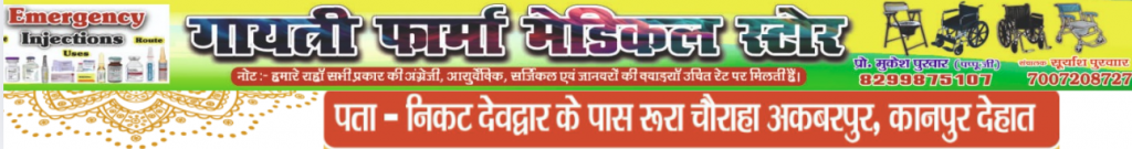 अमित शाह का RJD पर हमला: “अगर शहाबुद्दीन के बेटे को टिकट मिलेगा तो बिहार कैसे सुरक्षित रहेगा?” 2 image 213 1