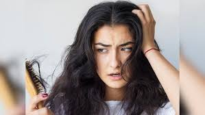Hair Fall Treatment in Hindi: मेथी और गुड़हल से बाल झड़ने की समस्या का आयुर्वेदिक समाधान 2 image 233 1