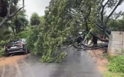 आंध्र प्रदेश और ओडिशा में ‘मोंथा’ का कहर — 38 हजार हेक्टेयर फसल बर्बाद, 76 हजार लोग राहत शिविरों में