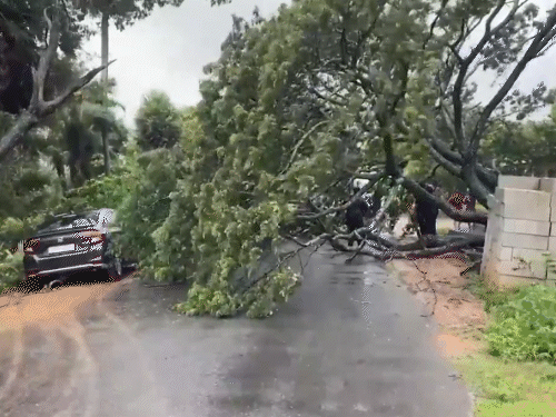 आंध्र प्रदेश और ओडिशा में ‘मोंथा’ का कहर,38 हजार हेक्टेयर फसल बर्बाद, 76 हजार लोग राहत शिविरों में 4 image 380 3