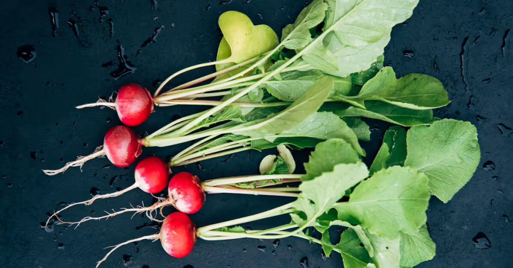 Can you eat radishes leaves: मूली और शलजम के पत्ते कैसे खाएं? हार्ट हेल्थ से इम्यूनिटी तक,जानें इन हरी पत्तियों के बड़े फायदे 2 image 1 1