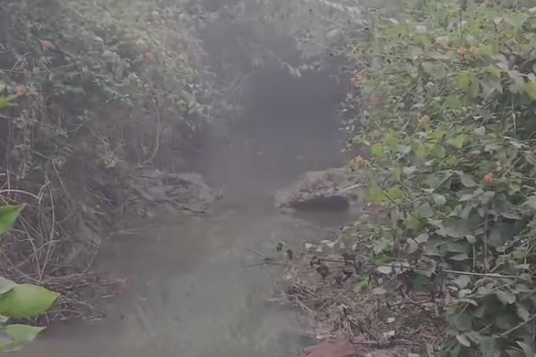 farrukhabad-bamba-safai-na-hone-se-fasal-jalmagn