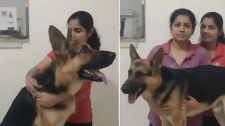 लखनऊ में दर्दनाक मामला: बहनों की आत्महत्या के बाद पालतू कुत्ते टोनी की भी मौत 2 image 258 1