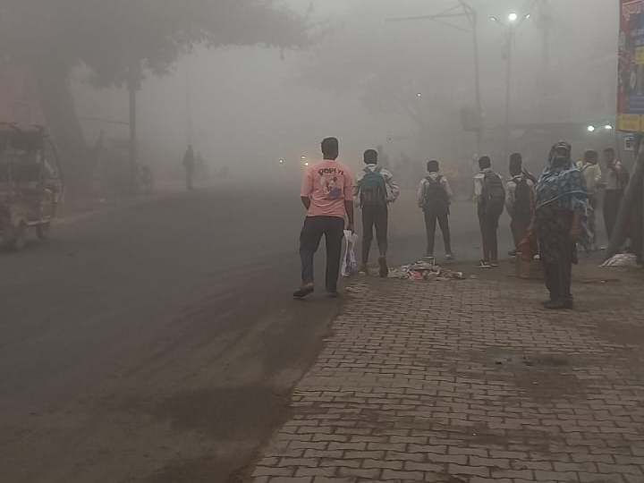 Agra Cold Wave : शीतलहर और घने कोहरे की चादर में लिपटा ताजमहल, आगरा में ठंड ने बढ़ाई मुश्किलें 3 image 28 2