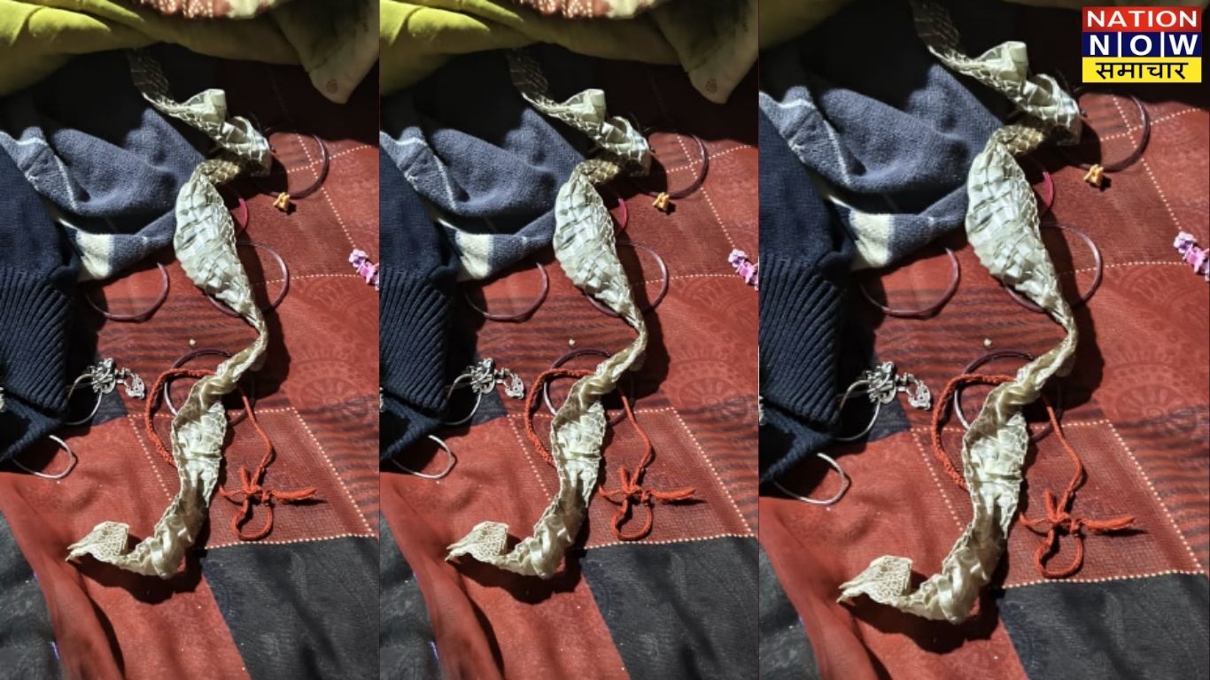 औरैया फिल्मी ड्रामा, नागिन बनने की अफवाह फैला घर से फरार हुई युवती