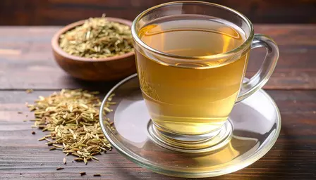 Saunf Tea Benefits: थकान और तनाव दूर करने का प्राकृतिक उपाय, जानिए सौंफ की चाय के फायदे