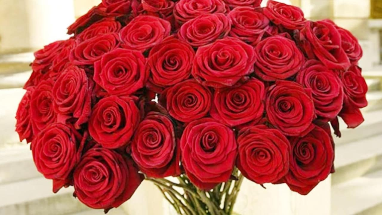 Valentines Day 2026: लाल गुलाब नहीं, अब इन फूलों से कपल्स जता रहे प्यार