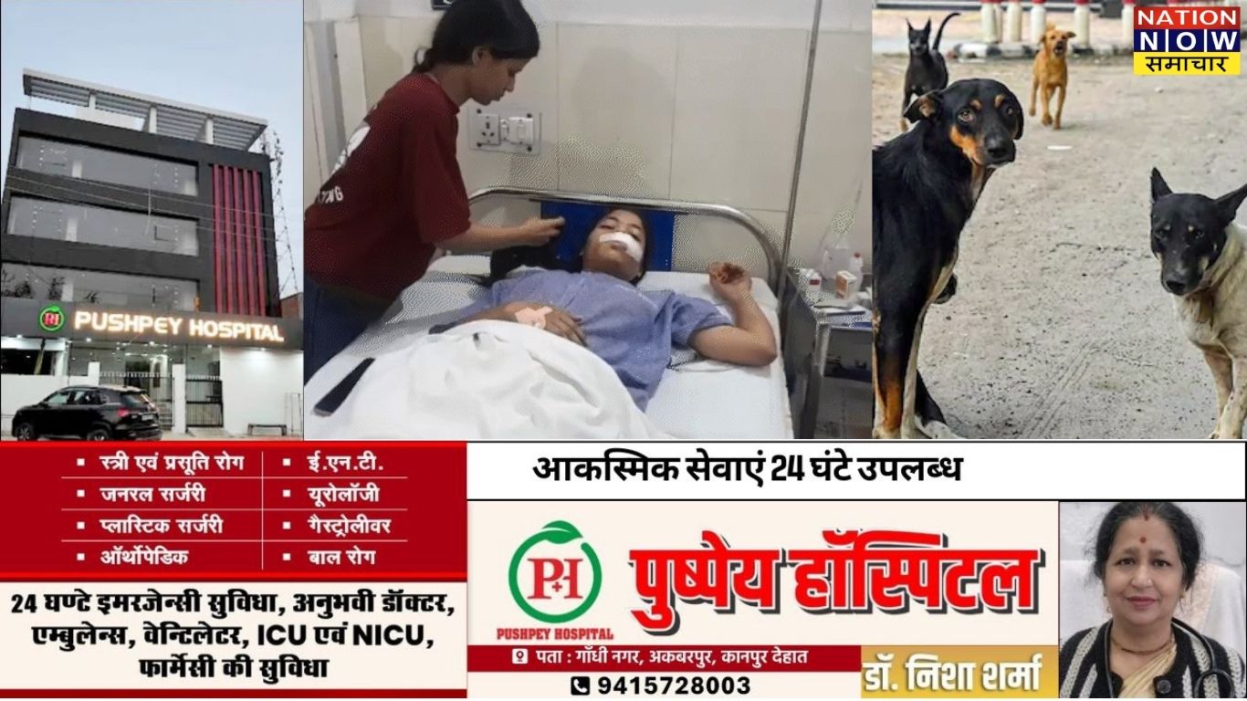 कानपुर में आवारा कुत्तों का आतंक: युवती पर हुआ भयानक हमला, सुरक्षा व्यवस्था पर सवाल