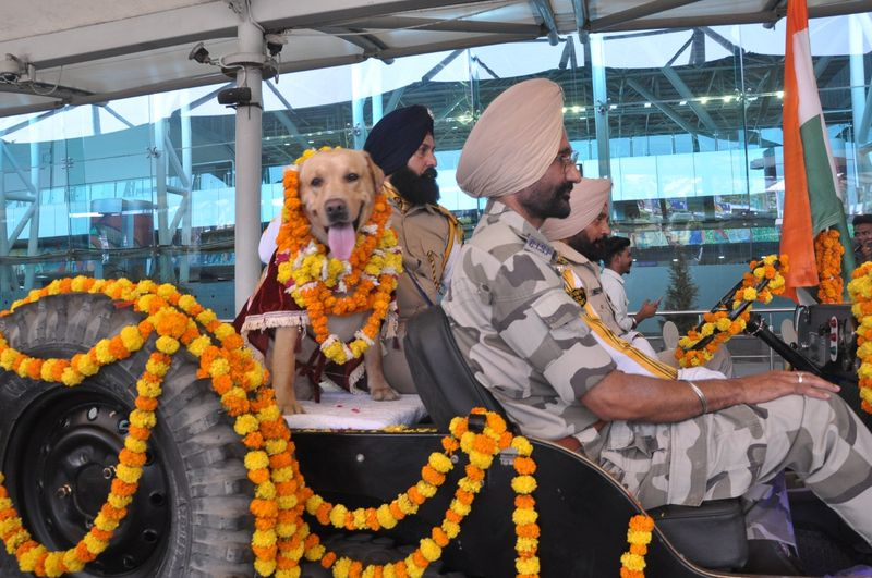 CISF के बहादुर डॉग Max को एयरपोर्ट पर नम आंखों से विदाई, सालों की सेवा को मिला सम्मान