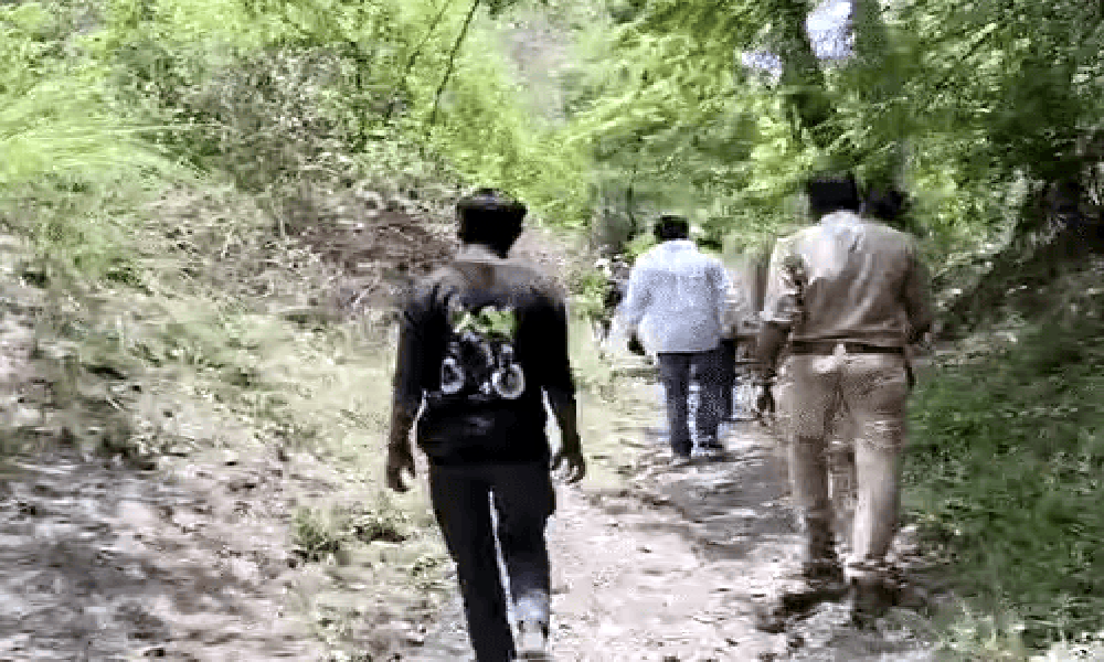 कानपुर के महाराजपुर में तेंदुए की दहशत: जंगल में चला सर्च अभियान, वन विभाग की टीम ने घेरा